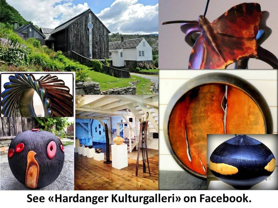 Apartment 2, Herand, Hardanger エクステリア 写真